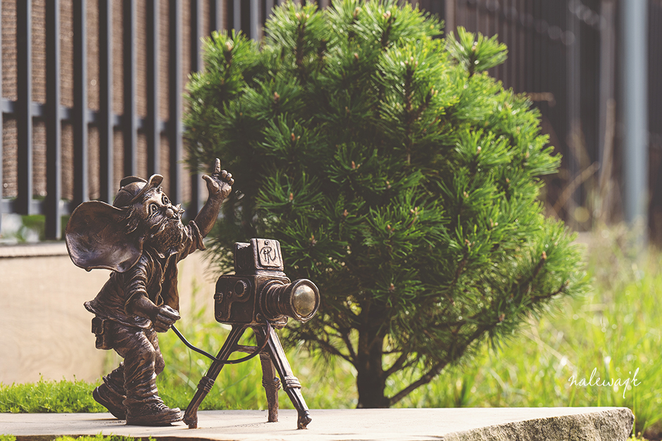 bydgoska myszka fotograf