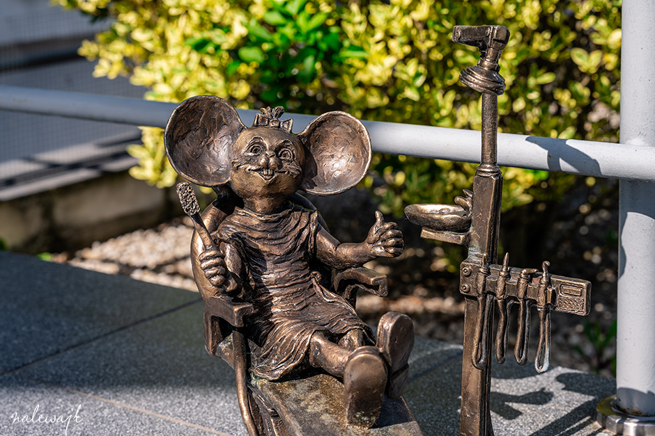 bydgoska myszka pacjentka stomatologa